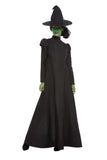 Wicked Witch Costume