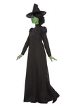 Wicked Witch Costume