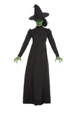 Wicked Witch Costume