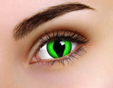 Coloured Contacts Anaconda