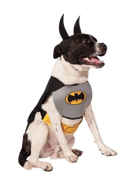 Batman Pet Costume