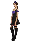 Fever Wicked Witch Adult Costume side