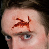 Head Wound 3D FX Transfers Halloween Makeup