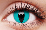 Cheshire Cat Contact Lenses